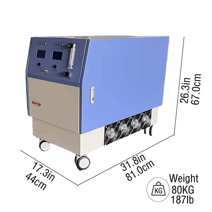 RespirEasy-M20L Continuous Flow Oxygen Concentrator Certified Medical-Grade Oxygen Generator With a Stable O2 Purity of 93% High-Flow Oxygen Machine for Hospital Use