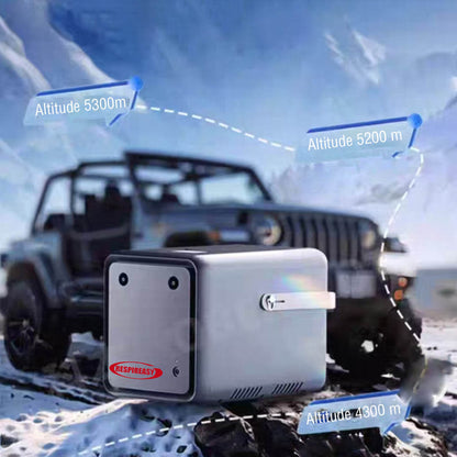Low Price RespirEasy Buy Home Portable Car Oxygen Concentrator  DEDAKJ Continuous Flow Oxygen Generator 1-9L Adjustable Oxygen Machine Oxygen Concentration 93% RE-9